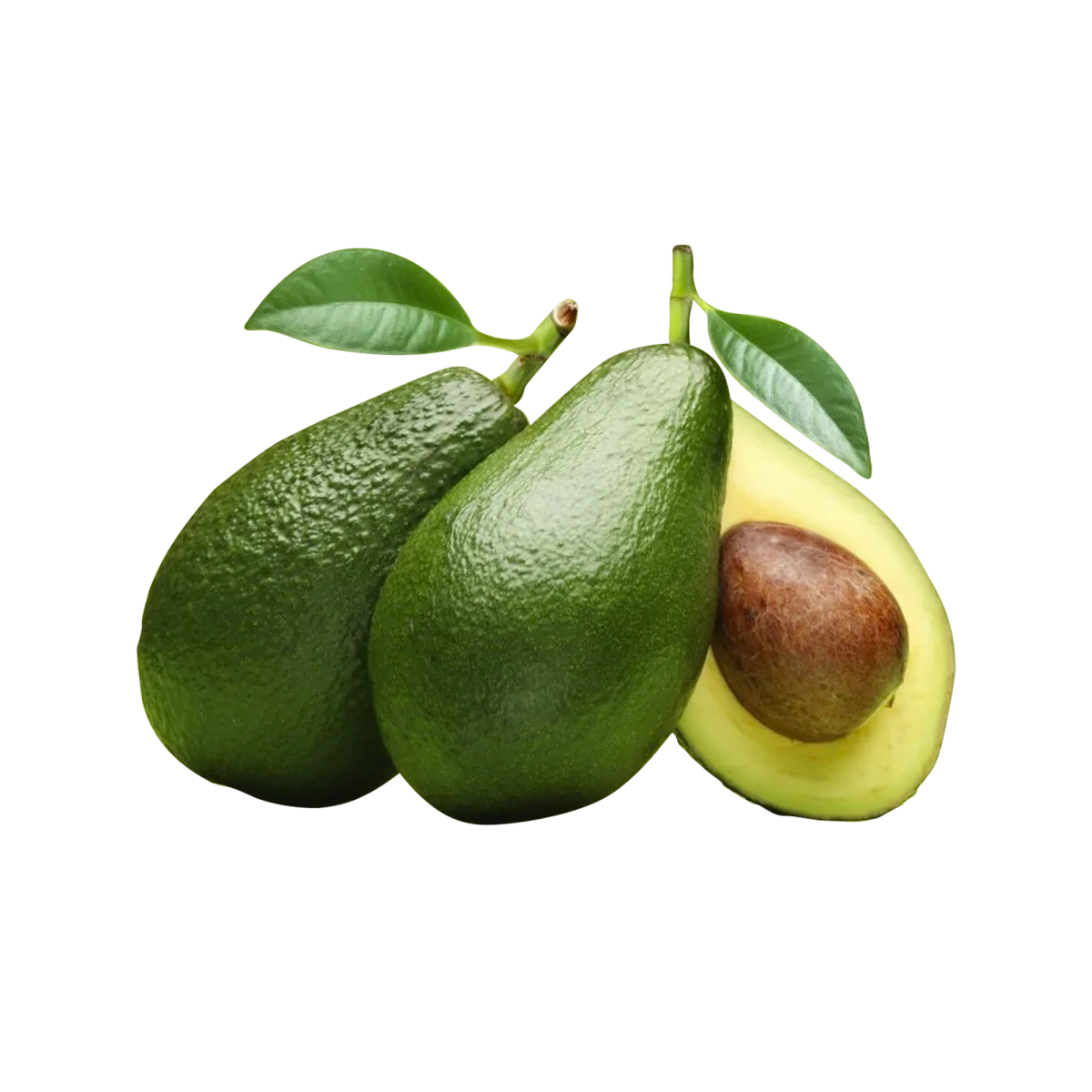 Avocado