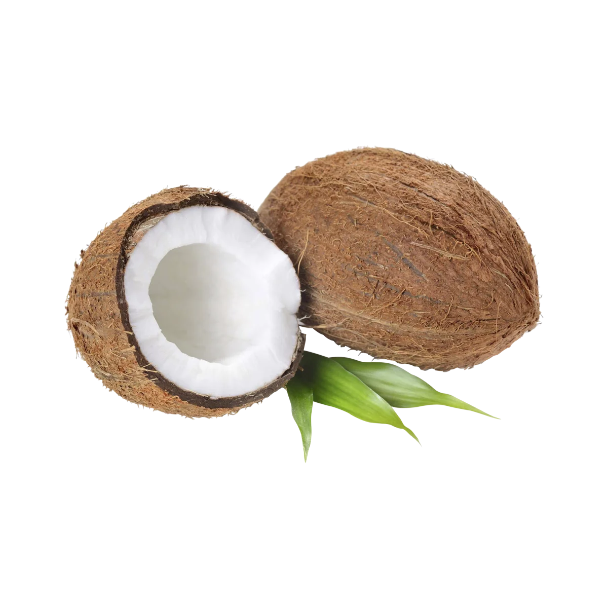 Kokos